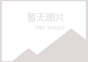 洛宁县夏岚能源有限公司